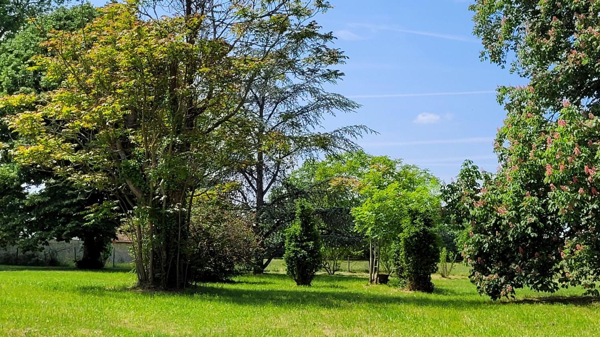 Villa Saint Pierre La Trimouille Buitenkant foto