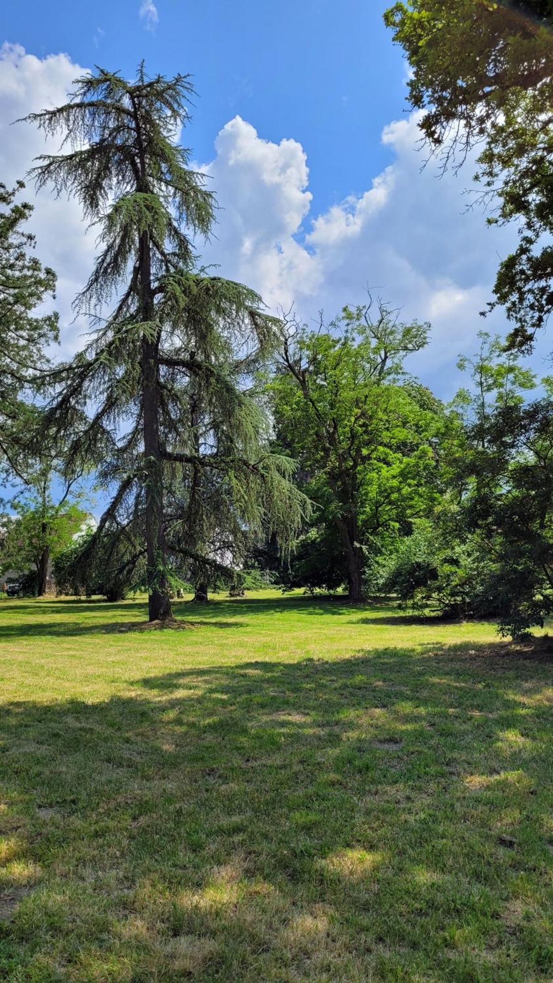 Villa Saint Pierre La Trimouille Buitenkant foto